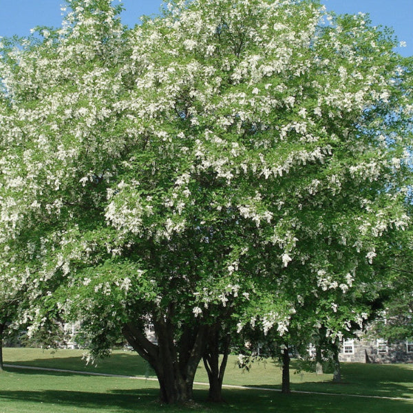 @plantes-et-nature.fr