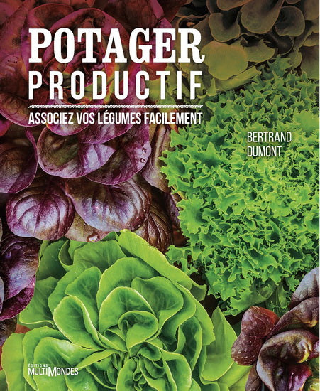 Potager productif: associez vos légumes facilement
